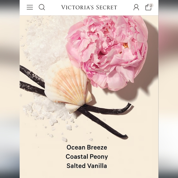 Victoria's Secret Lot - Picture 14 of 15